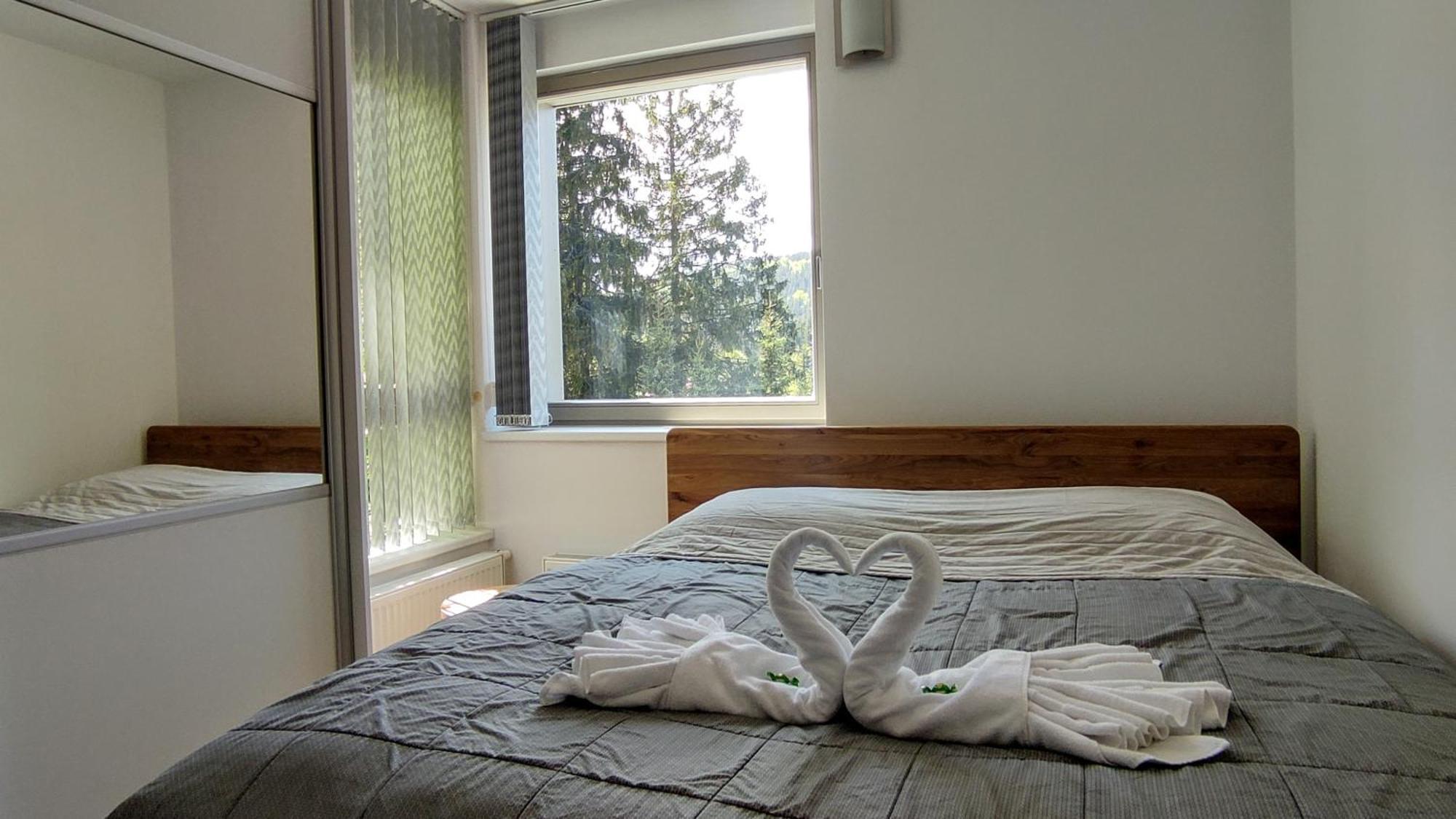 Tiche Anenske Apartmany S Hotelovym Servisem, S Kvalitni Bufetovou Snidani A S Exklusivnim Saunovym Wellness Grotta Spa - By Relax Harrachov Exterior photo